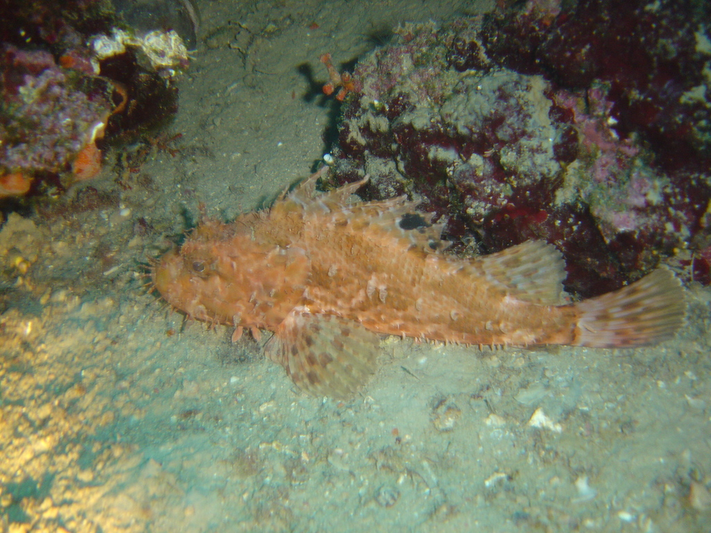 DSC00036.JPG