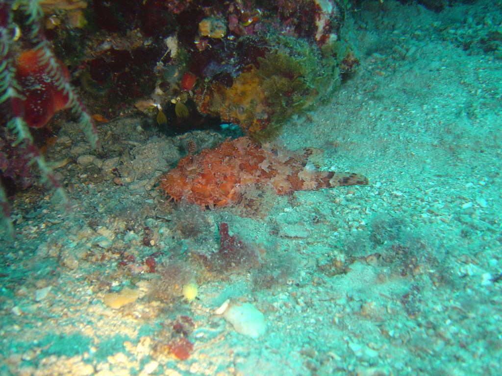 DSC00037.JPG