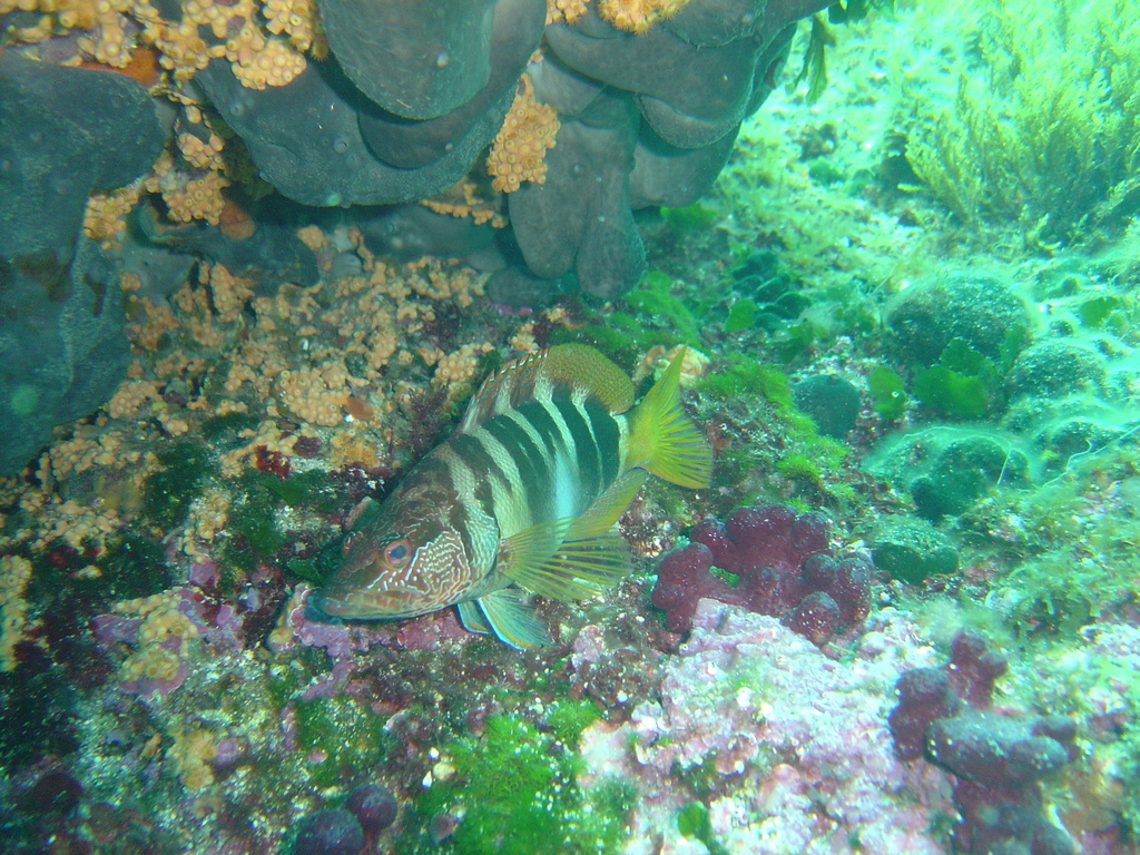 DSC00055.JPG