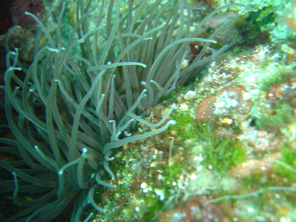 DSC00057.JPG