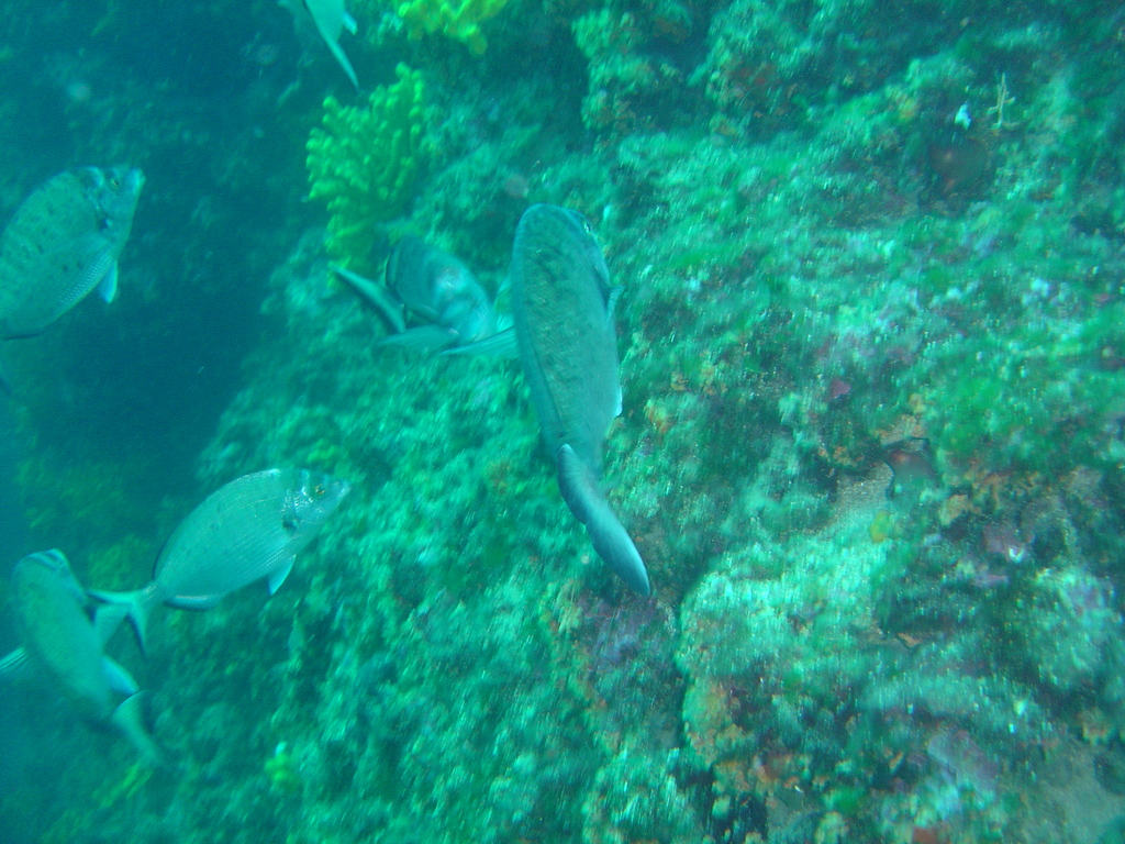 DSC00068.JPG