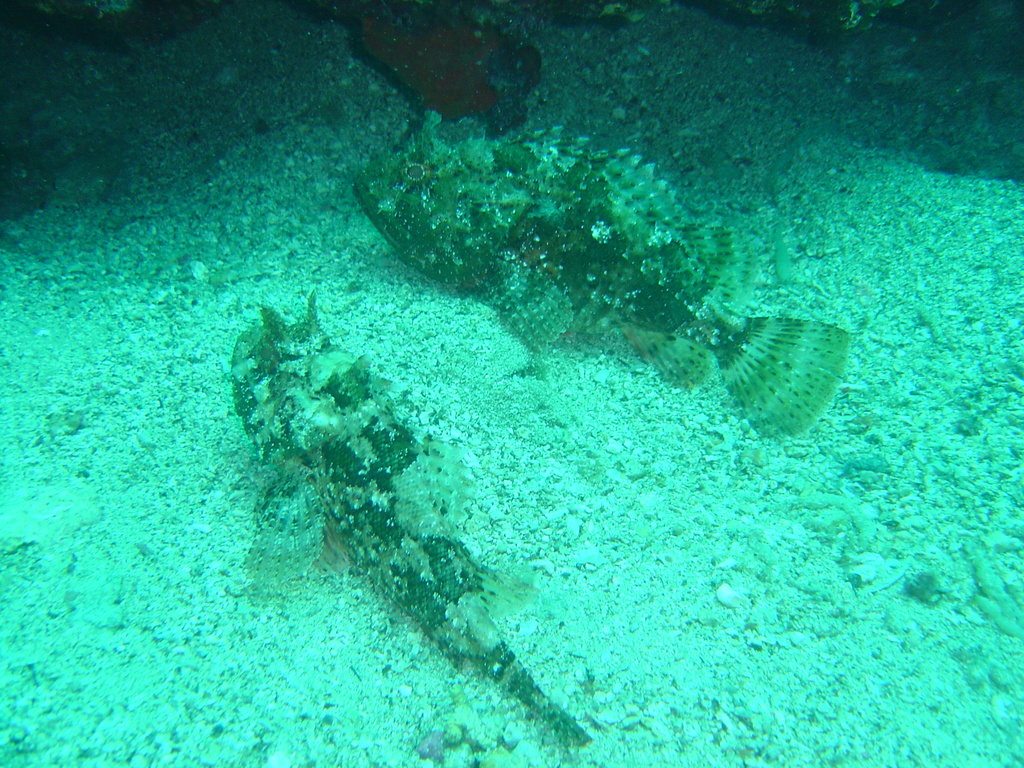 DSC00086.JPG