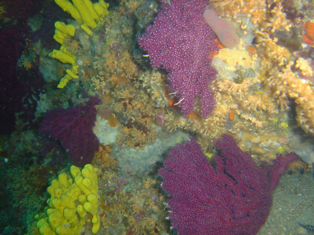 DSC00091.JPG
