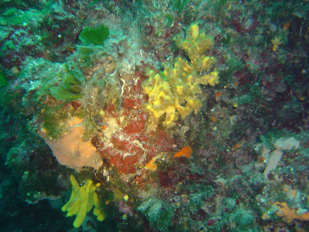 DSC00104.JPG
