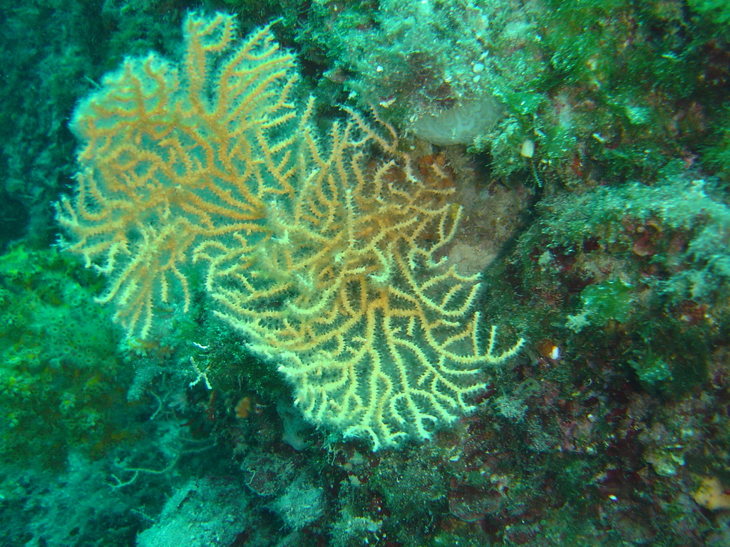 DSC00113.JPG