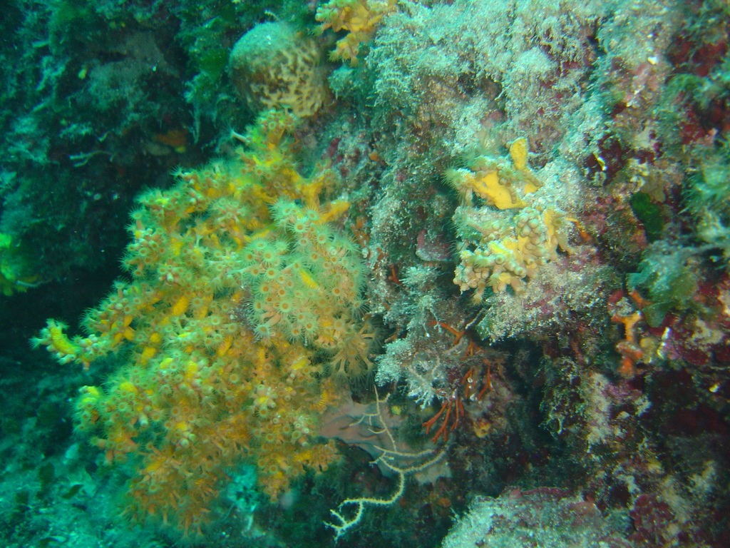 DSC00114.JPG