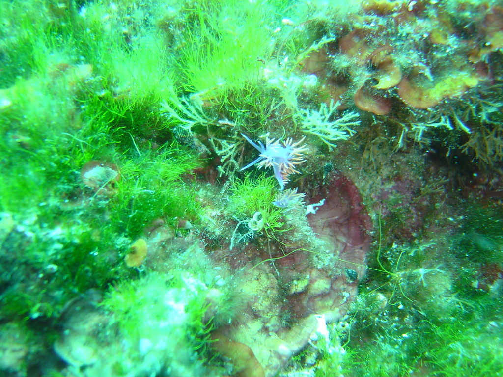 DSC00120.JPG