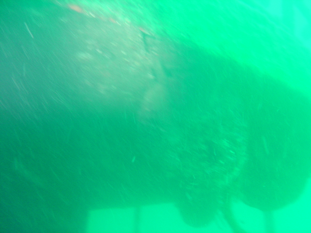 DSC00137.JPG
