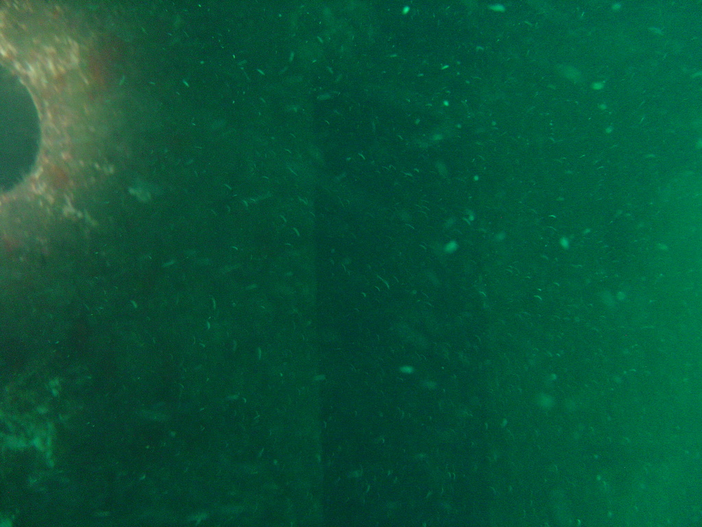 DSC00140.JPG