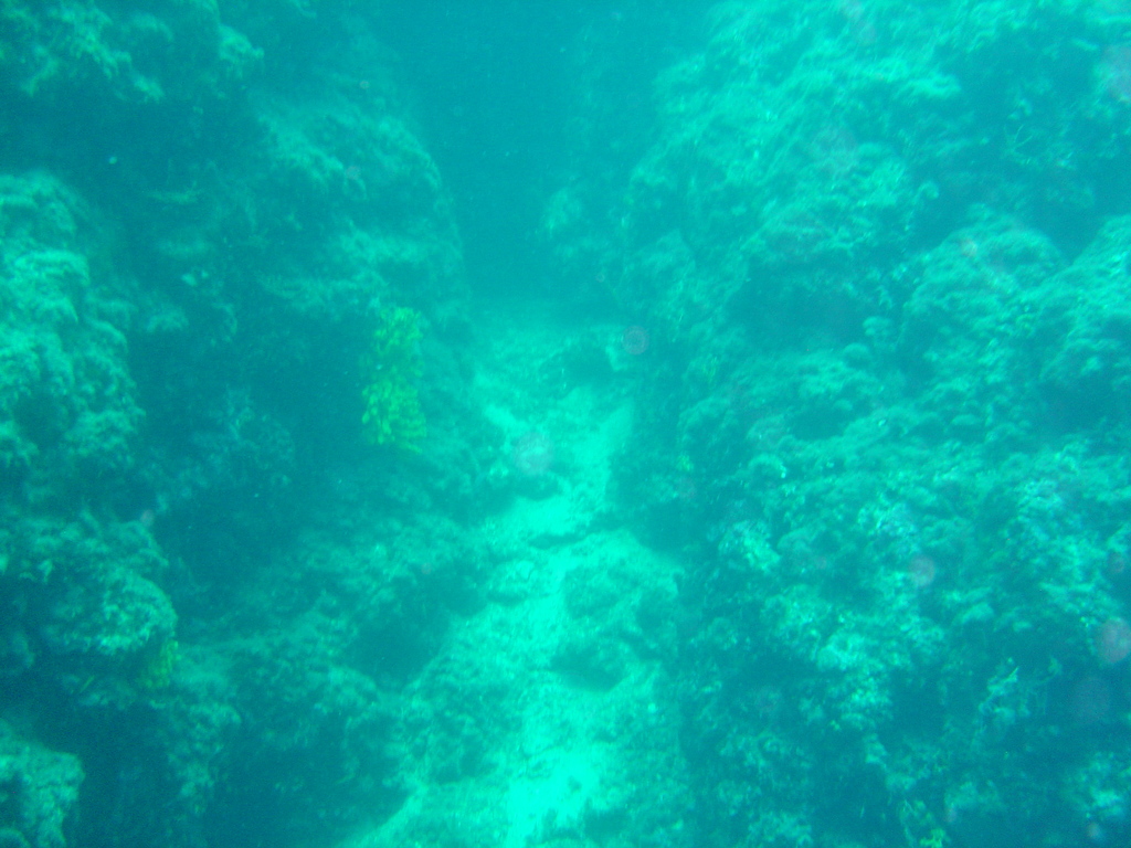 DSC00166.JPG
