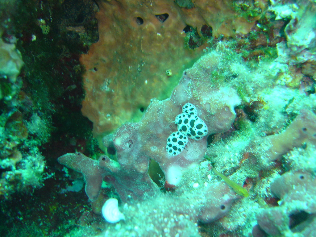 DSC00206.JPG