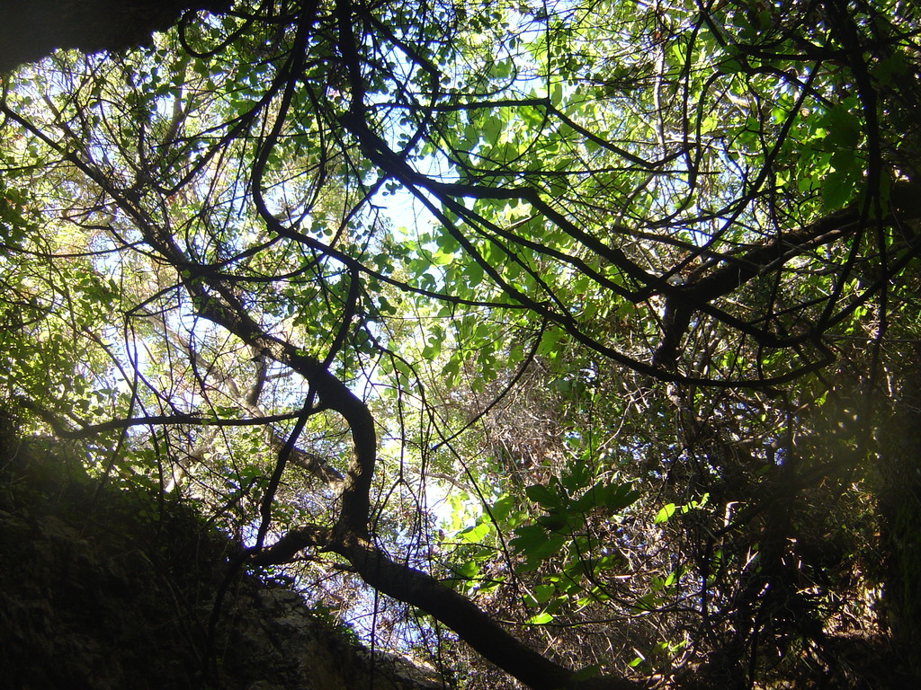DSC00208.JPG