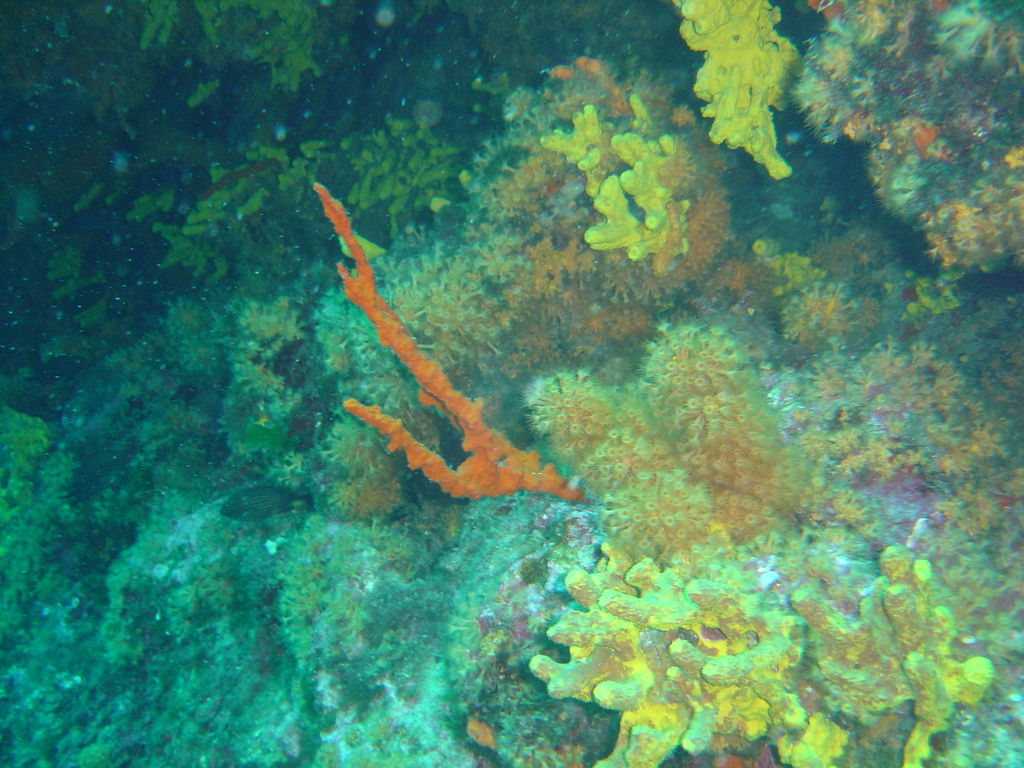 DSC00210.JPG