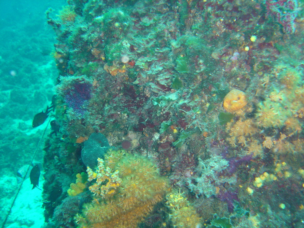 DSC00214.JPG