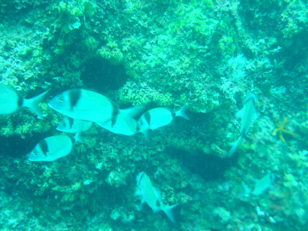 DSC00216.JPG
