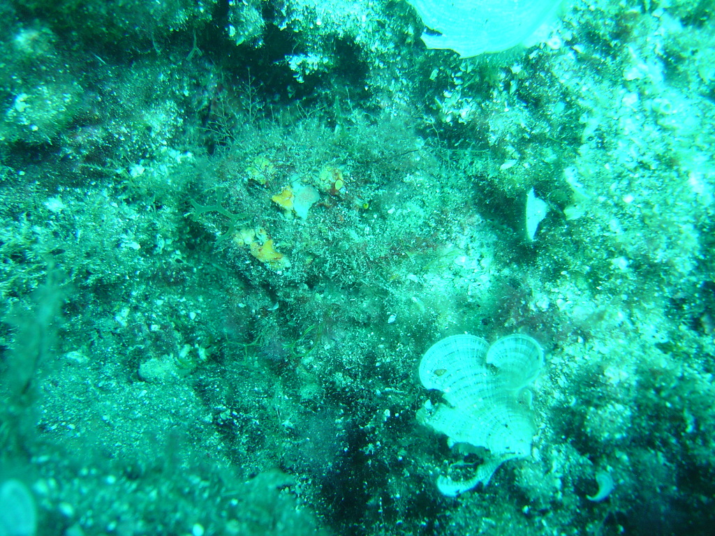DSC00236.JPG