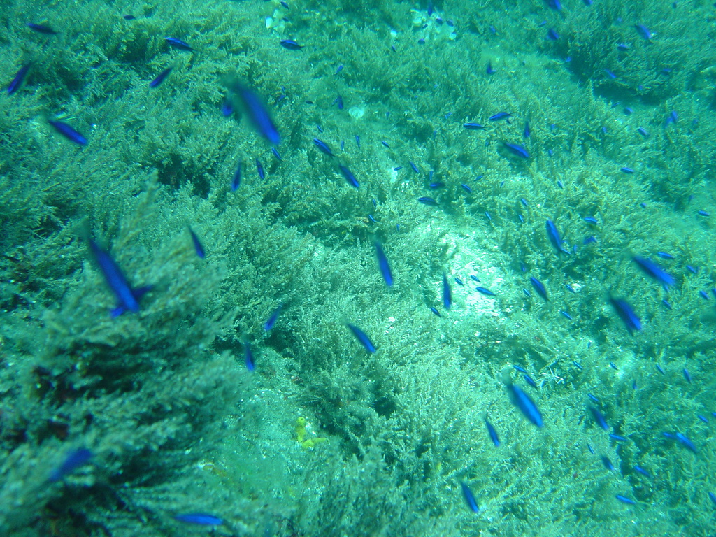 DSC00237.JPG
