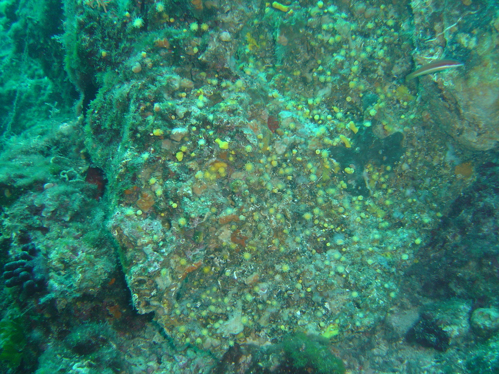 DSC00249.JPG