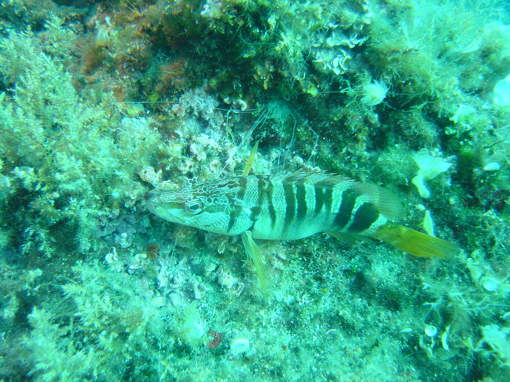 DSC00255.JPG