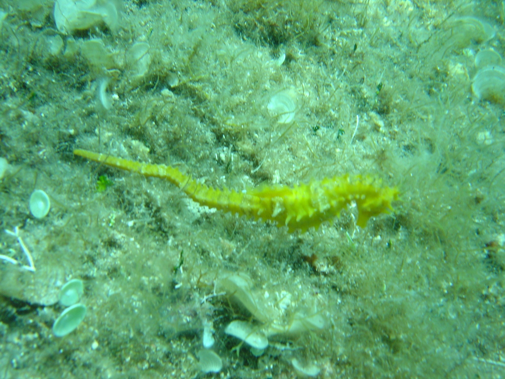 DSC00278.JPG