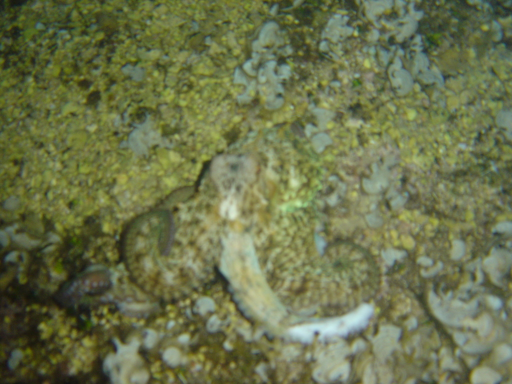 DSC00285.JPG