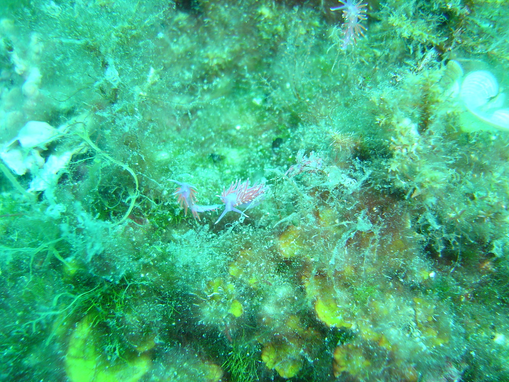 DSC00304.JPG