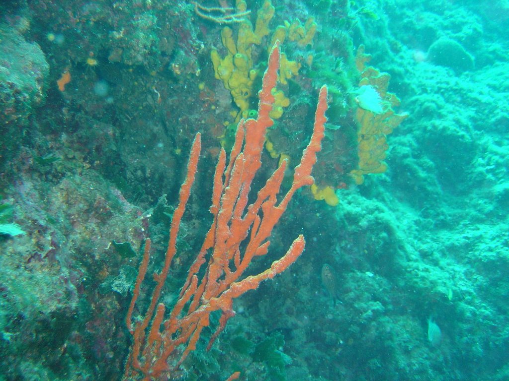 DSC00310.JPG