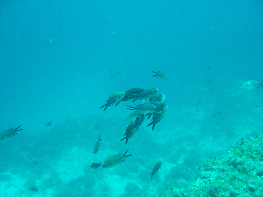 DSC00358.JPG