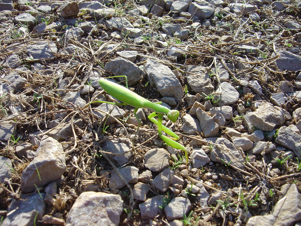 DSC00363.JPG