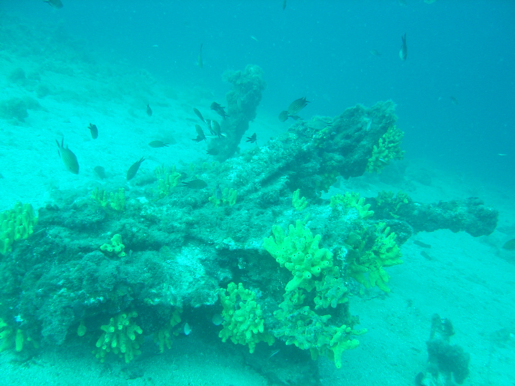 DSC00365.JPG