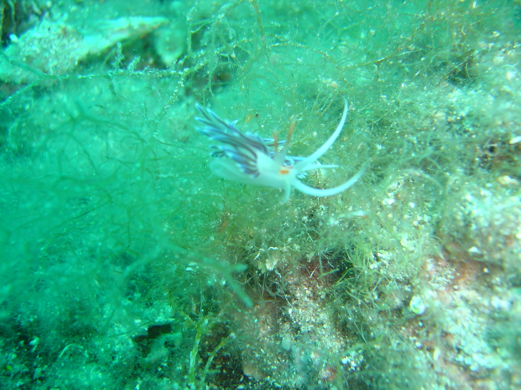 DSC00397.JPG