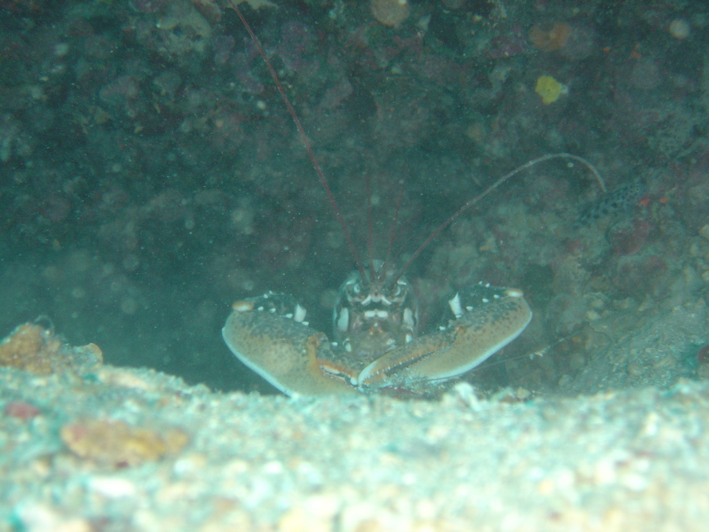 DSC00412.JPG