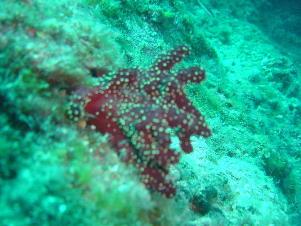DSC00420.JPG