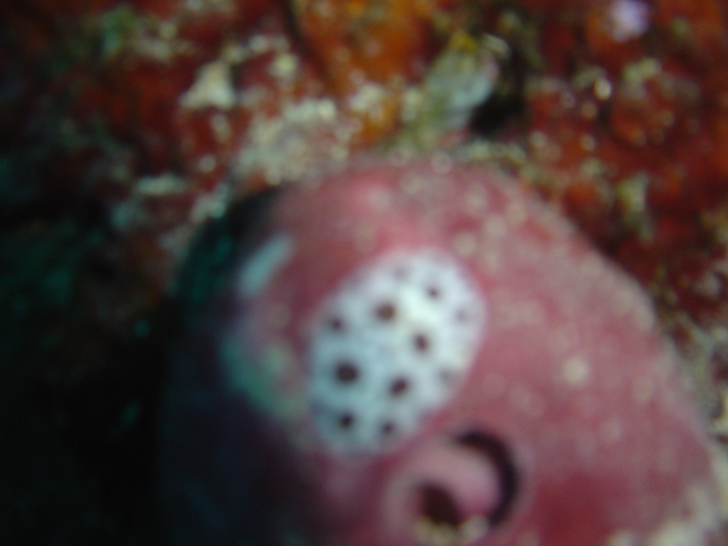DSC00428.JPG