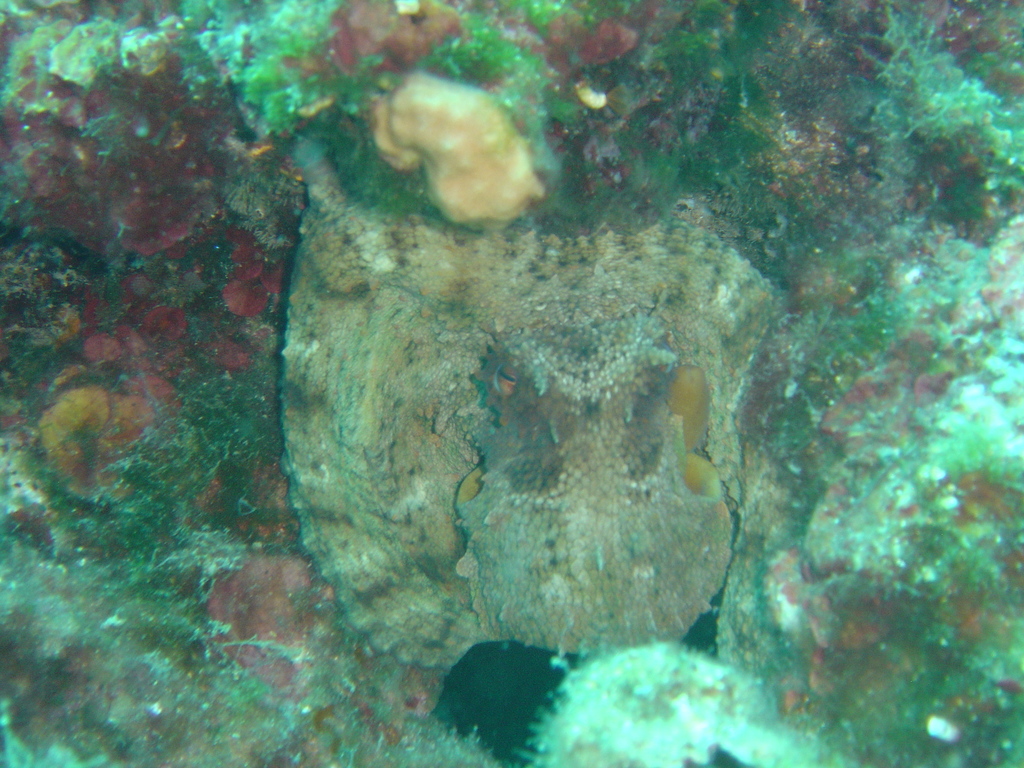 DSC00431.JPG