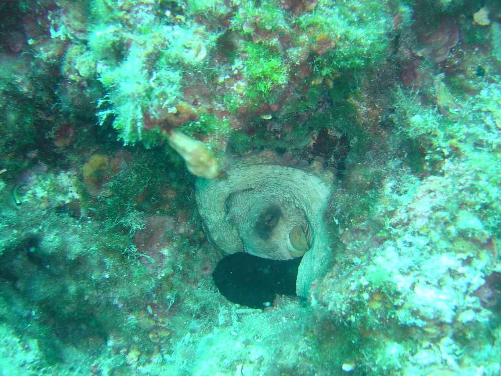 DSC00433.JPG