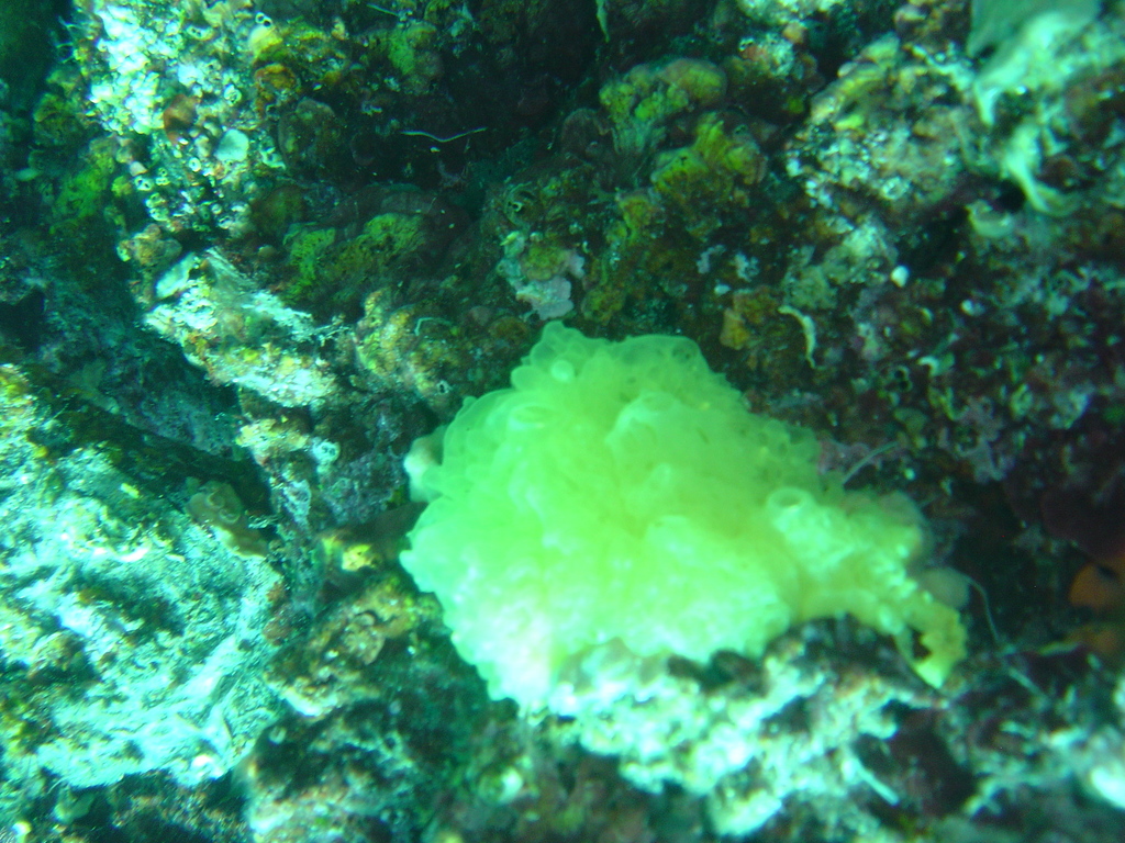 DSC00437.JPG
