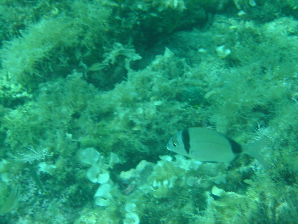 DSC00439.JPG