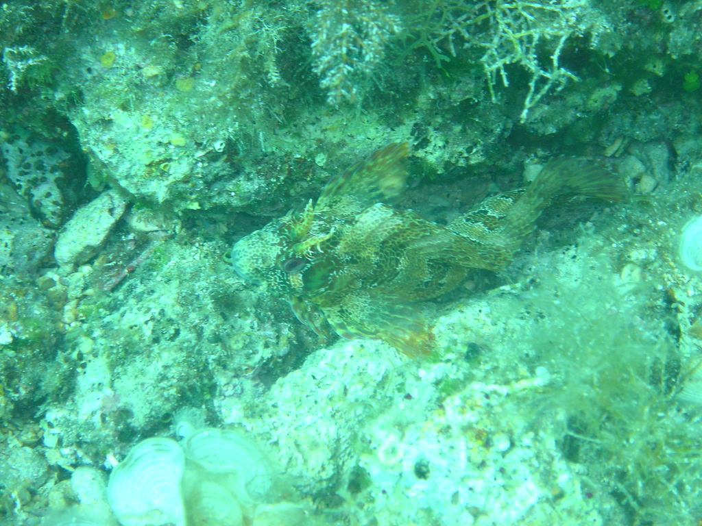 DSC00440.JPG