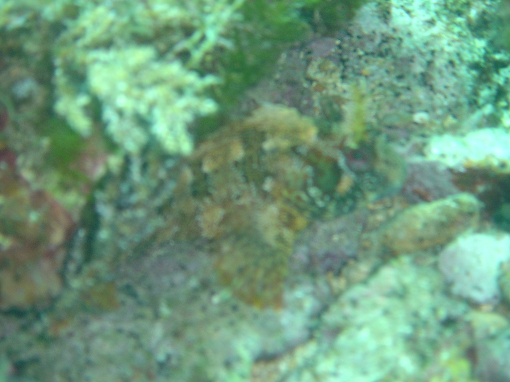 DSC00441.JPG