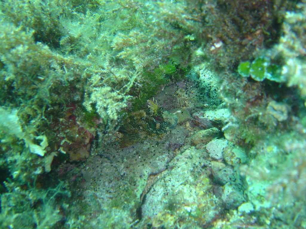 DSC00442.JPG