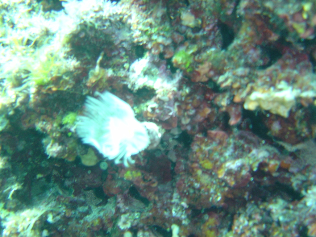 DSC00445.JPG
