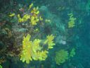 Filename=DSC00005.JPG
Filesize=455KiB
Dimensions=1024x768
Date added=Aug 05, 2014 DSC00005.JPG