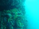 Filename=DSC00006.JPG
Filesize=357KiB
Dimensions=1024x768
Date added=Aug 05, 2014 DSC00006.JPG