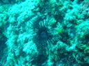 Filename=DSC00007.JPG
Filesize=467KiB
Dimensions=1024x768
Date added=Aug 05, 2014 DSC00007.JPG