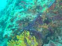 Filename=DSC00010.JPG
Filesize=498KiB
Dimensions=1024x768
Date added=Aug 05, 2014 DSC00010.JPG