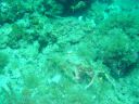 Filename=DSC00012.JPG
Filesize=515KiB
Dimensions=1024x768
Date added=Aug 05, 2014 DSC00012.JPG