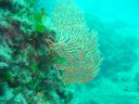 Filename=DSC00015.JPG
Filesize=482KiB
Dimensions=1024x768
Date added=Aug 05, 2014 DSC00015.JPG