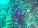 Filename=DSC00023.JPG
Filesize=505KiB
Dimensions=1024x768
Date added=Aug 05, 2014 DSC00023.JPG
