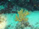 Filename=DSC00027.JPG
Filesize=510KiB
Dimensions=1024x768
Date added=Aug 05, 2014 DSC00027.JPG